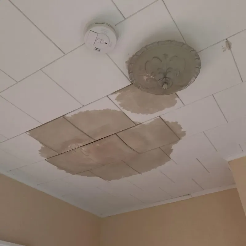 Ceiling Water Damage Repair in South Corning, NY